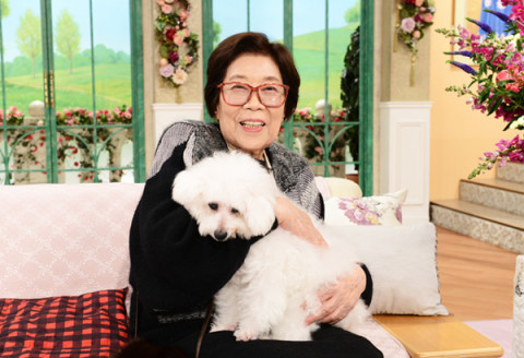 野村昭子の若い頃から現在！死因の熱中症・兄弟＆旦那と子供など家族・愛犬と自宅もまとめ