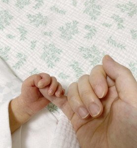 202506080000428-w1300_0