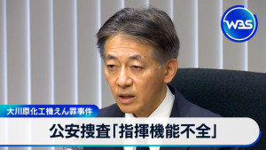 20250807_wb_ns03_1911871dda3e4901_9