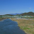 300px-Ashikaga_Watarase_River_Naka_Bridge_3