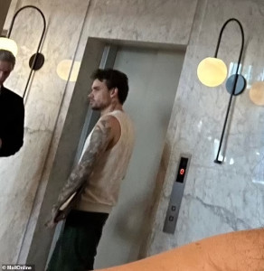 91000953-0-Liam_Payne_is_then_pictured_next_to_a_lift_in_the_Casa_Sur_Hotel-a-26_1729244096908