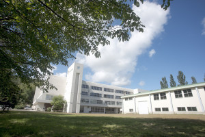 img-06