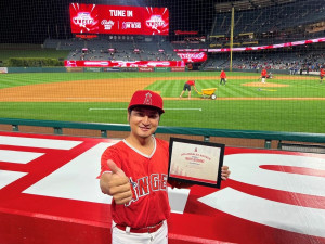 img_3d3a0fb5ea5c8745c75069e21c3372b74488956