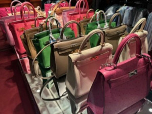 img_e68abb659dfdbf73d6cedadd9a7fe913240321